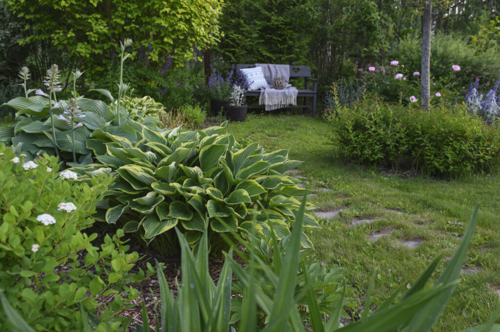 View of Hosta plants and outdoor seating